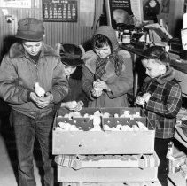 Washington Elevator Gives Chicks to Children